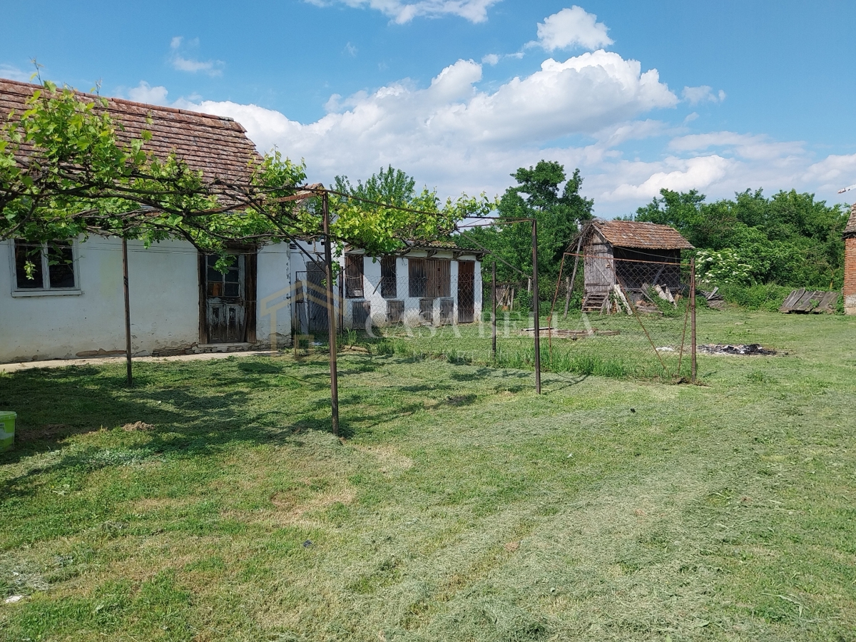 ČRNKOVCI