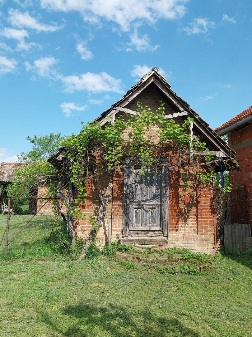 ČRNKOVCI