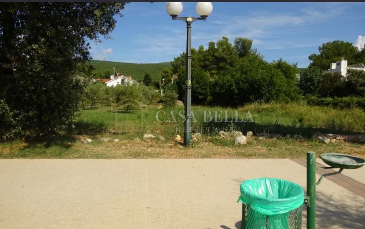 PUNAT
