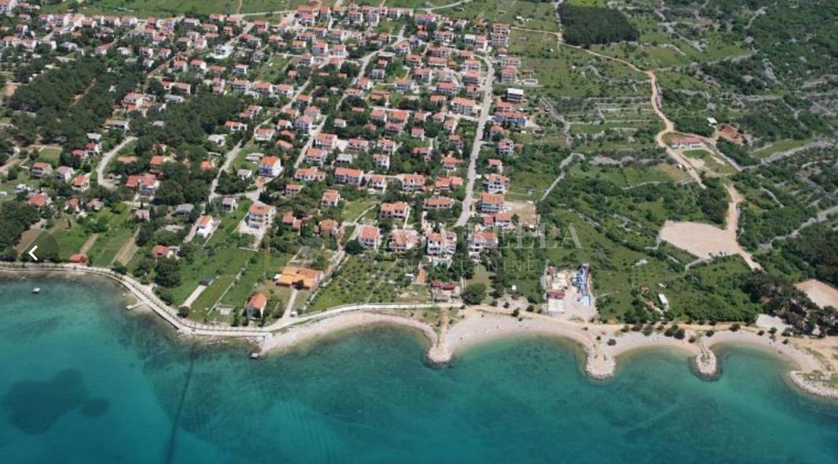 PUNAT