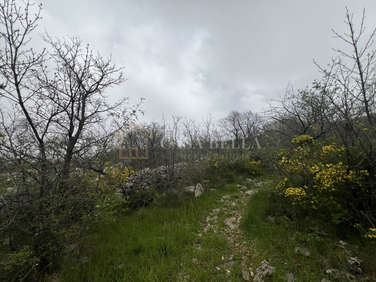 KLENOVICA
