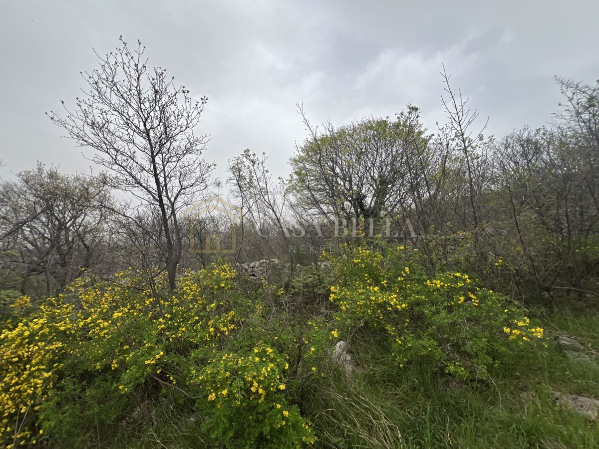 KLENOVICA