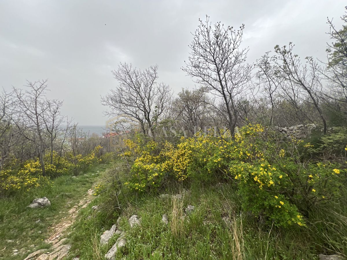 KLENOVICA