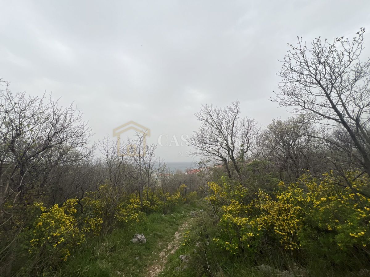 KLENOVICA