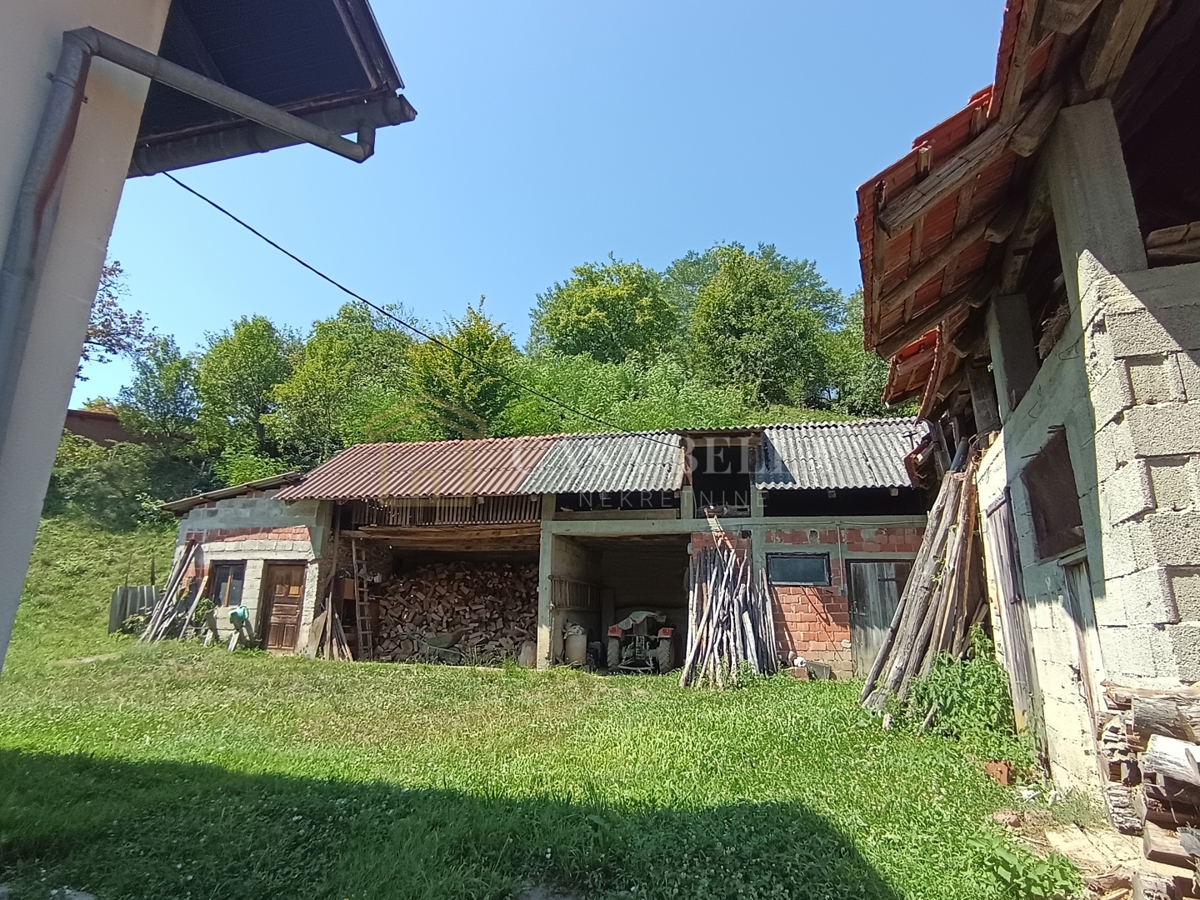 image 14