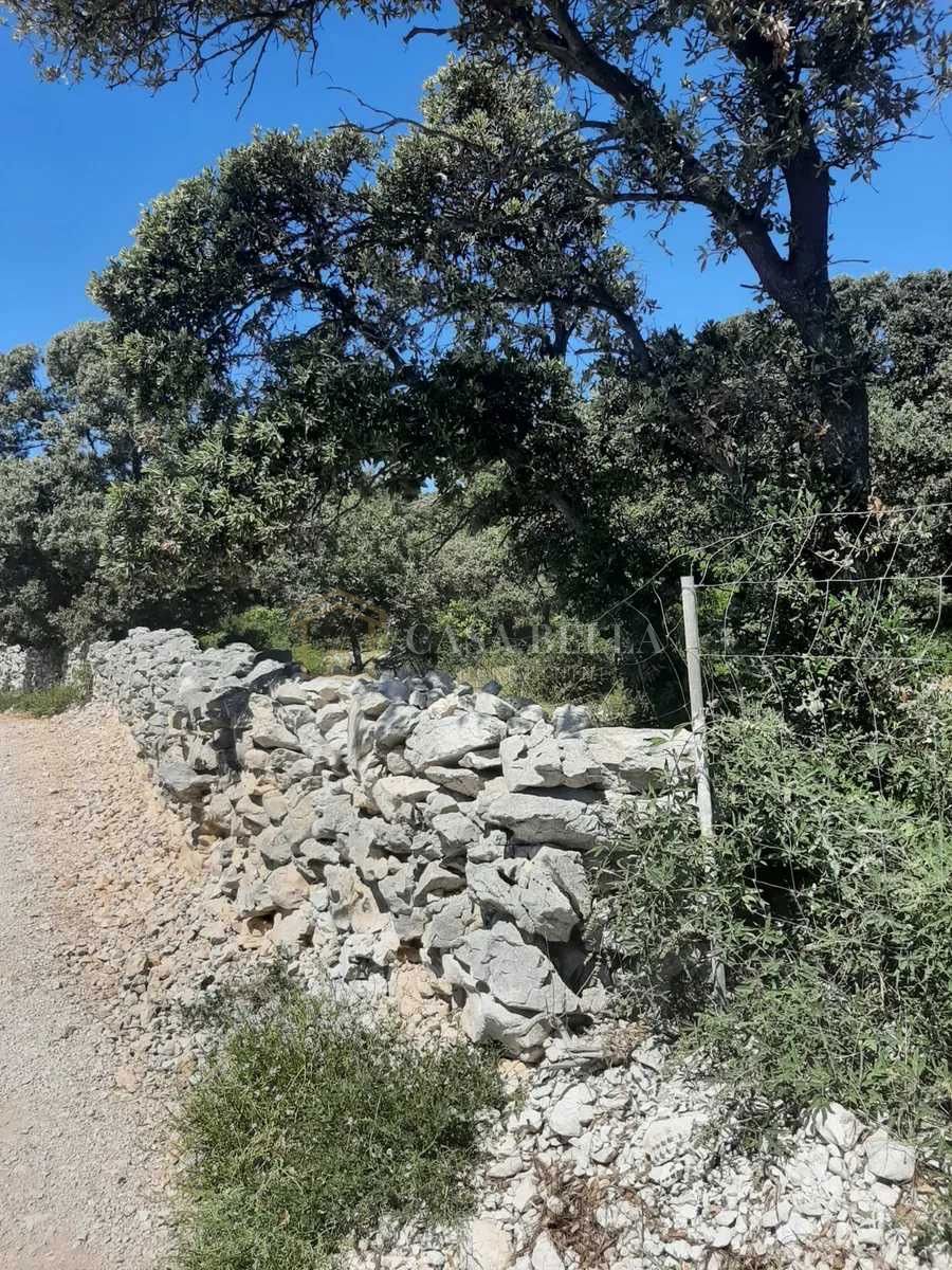 NOVALJA