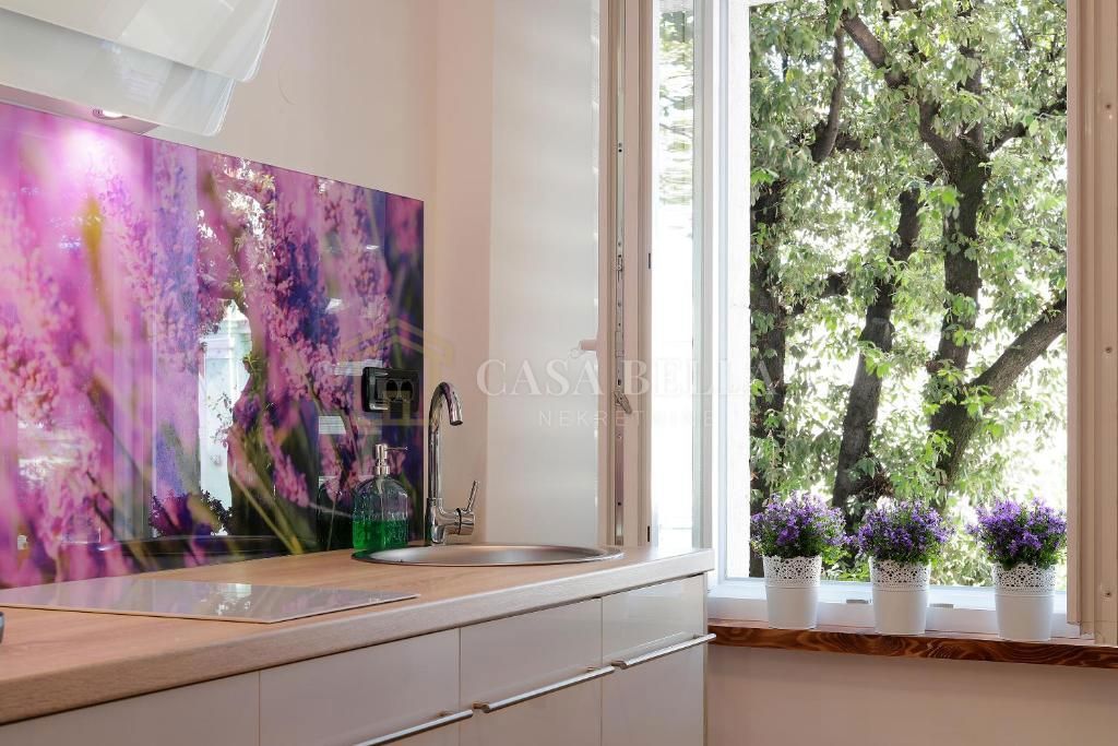 STROGI CENTAR -3 APARTMANA SA ODLIČNO UHODANIM POSLOVANJEM – 2