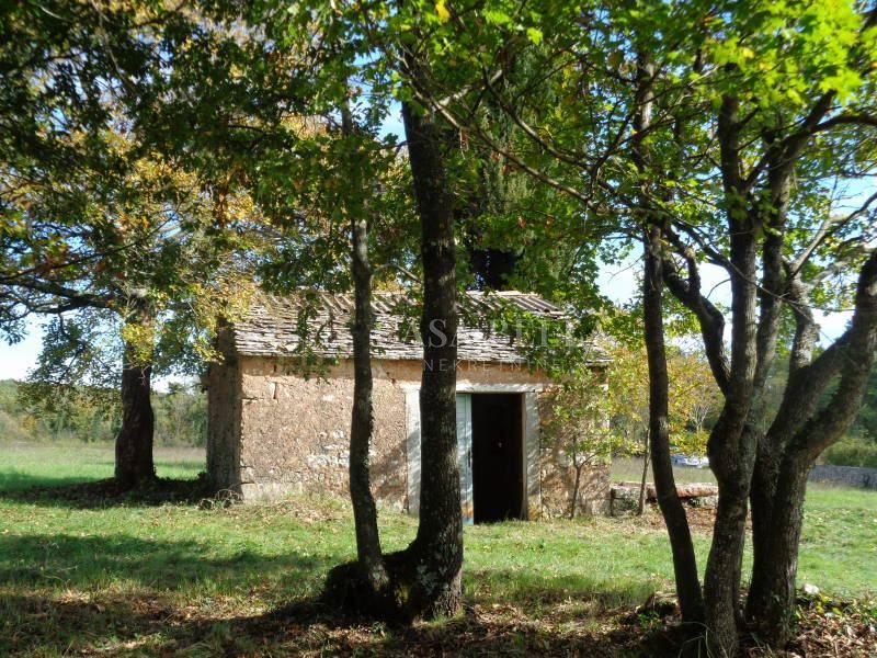 KRCULI