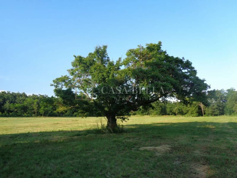 KRCULI