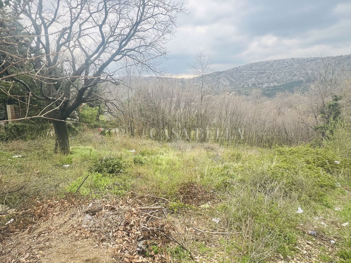 BRIBIR