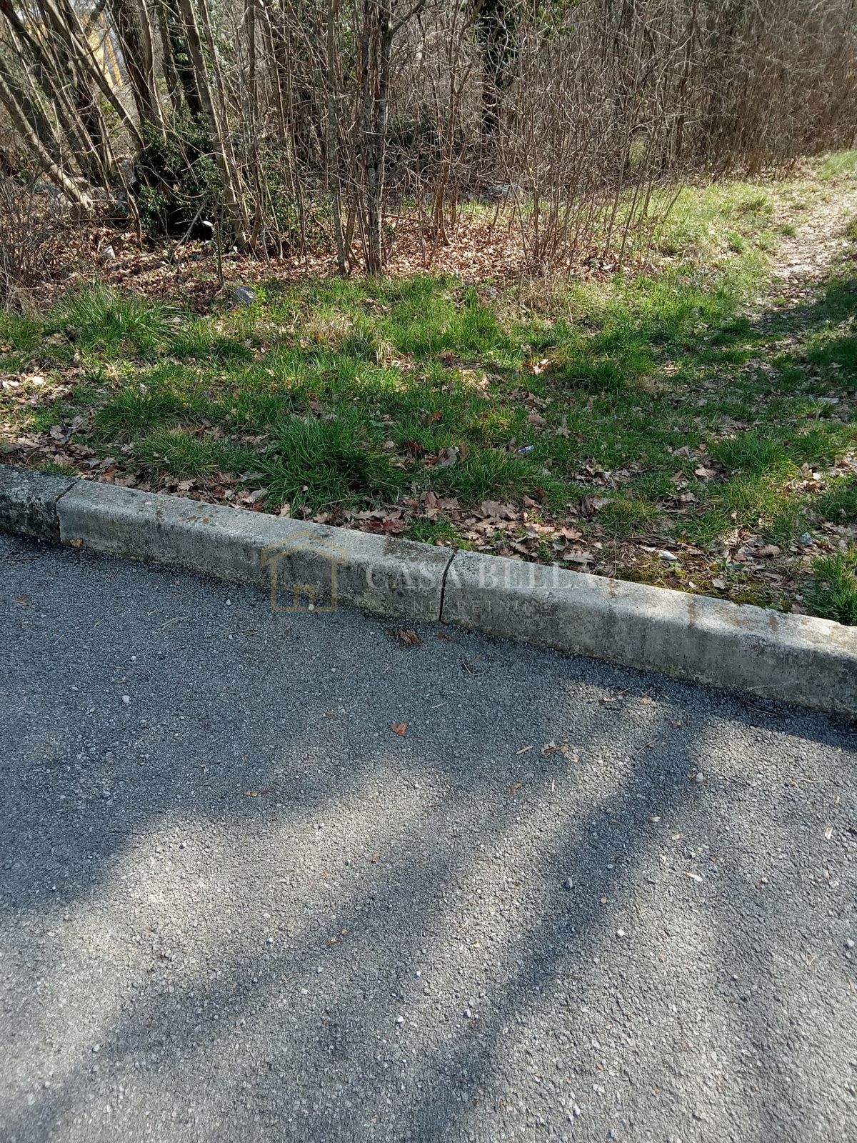 MUČIĆI