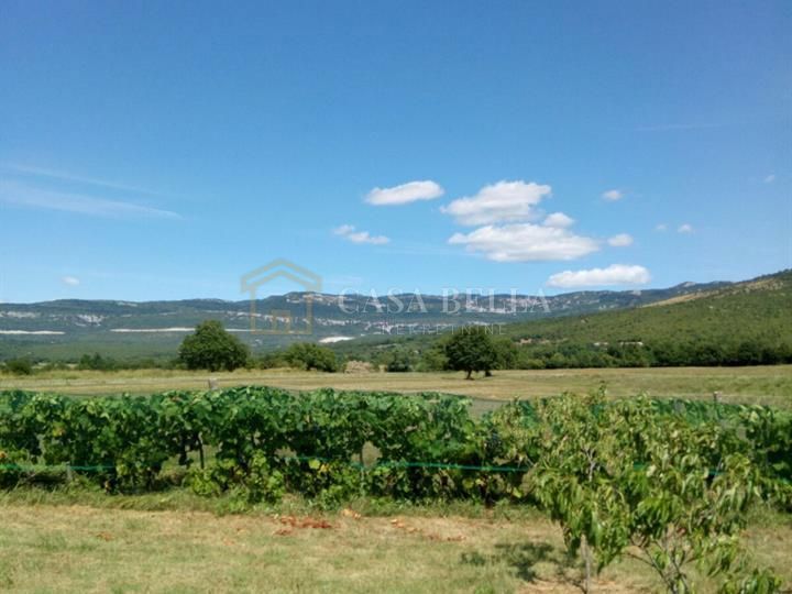 BOLJUNSKO POLJE