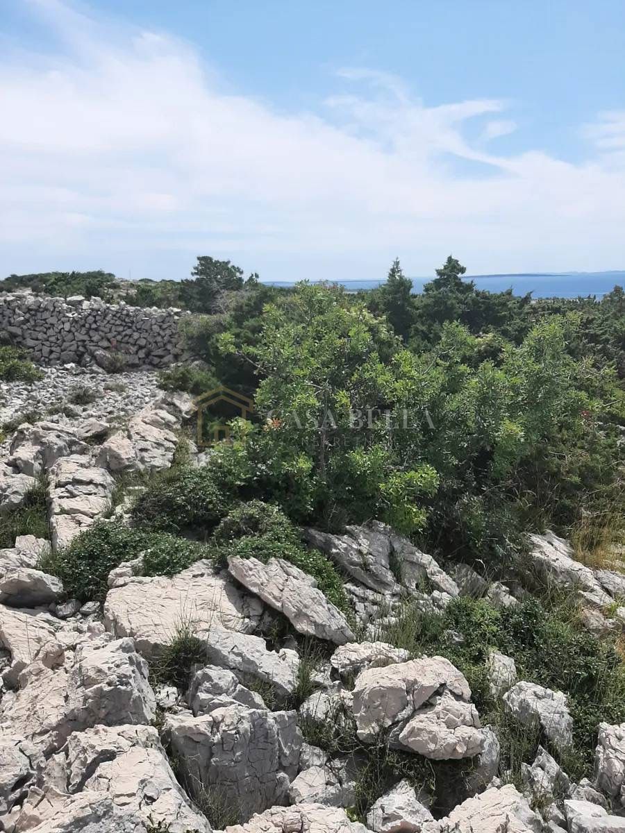 NOVALJA