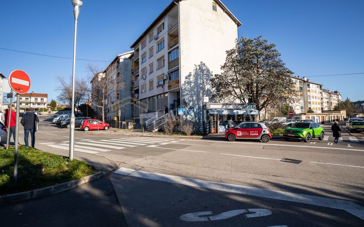 SRDOČI