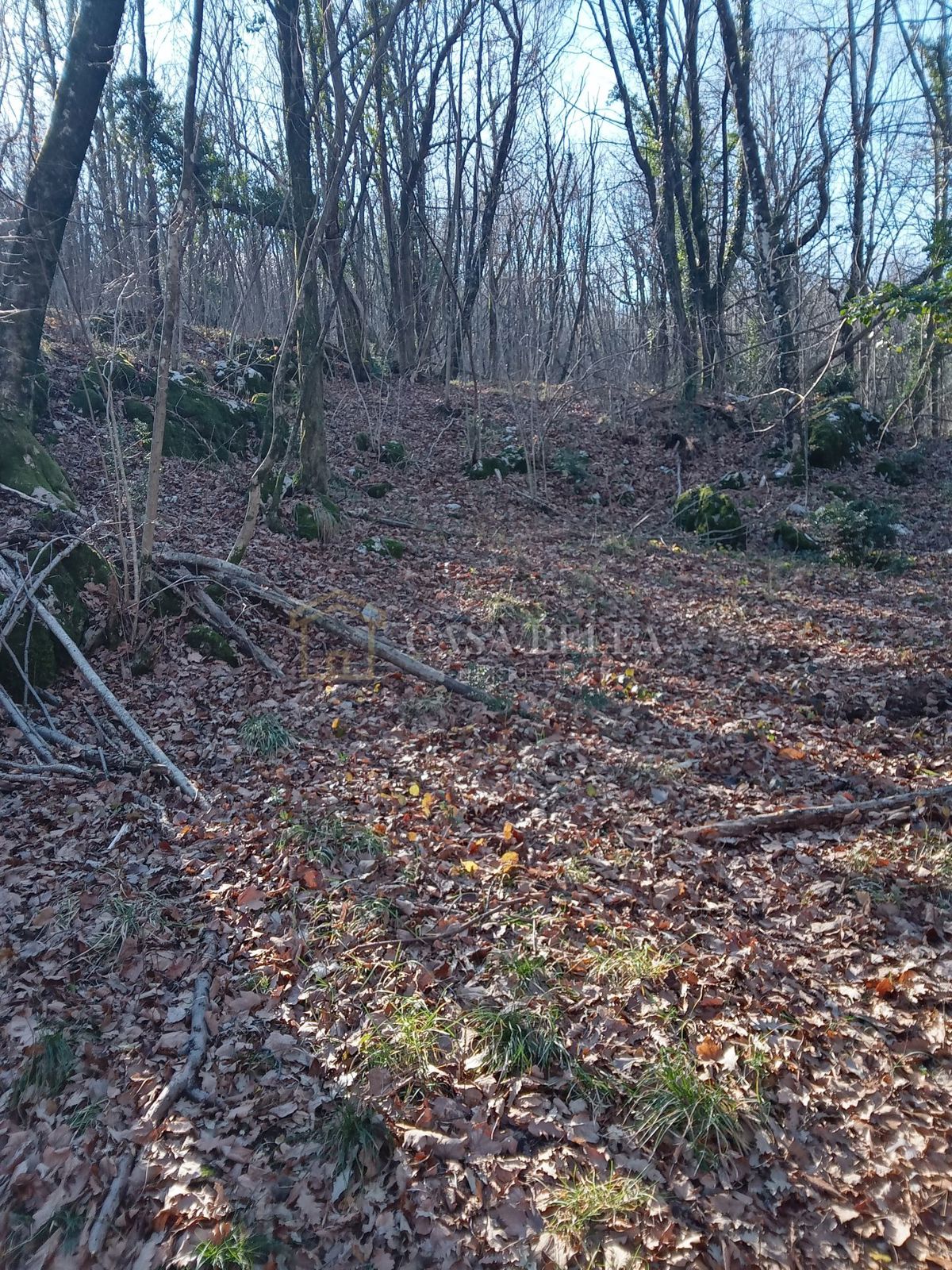 RUKAVAC
