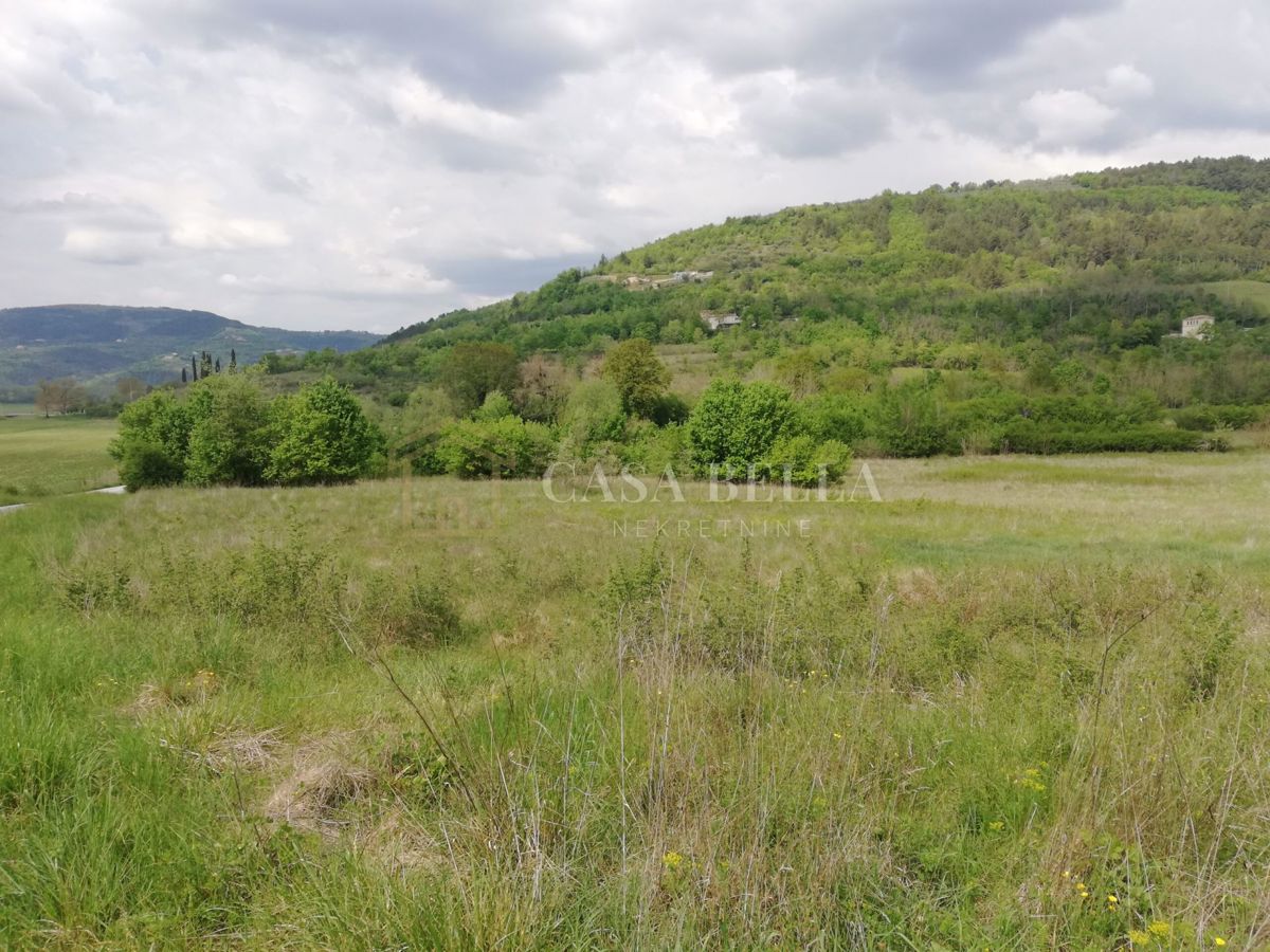 MOTOVUN