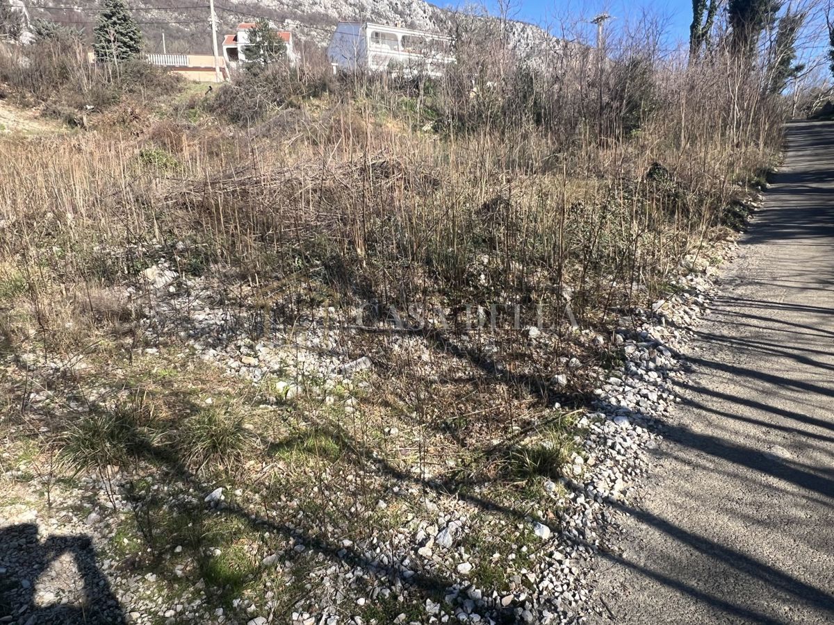 GRIŽANE