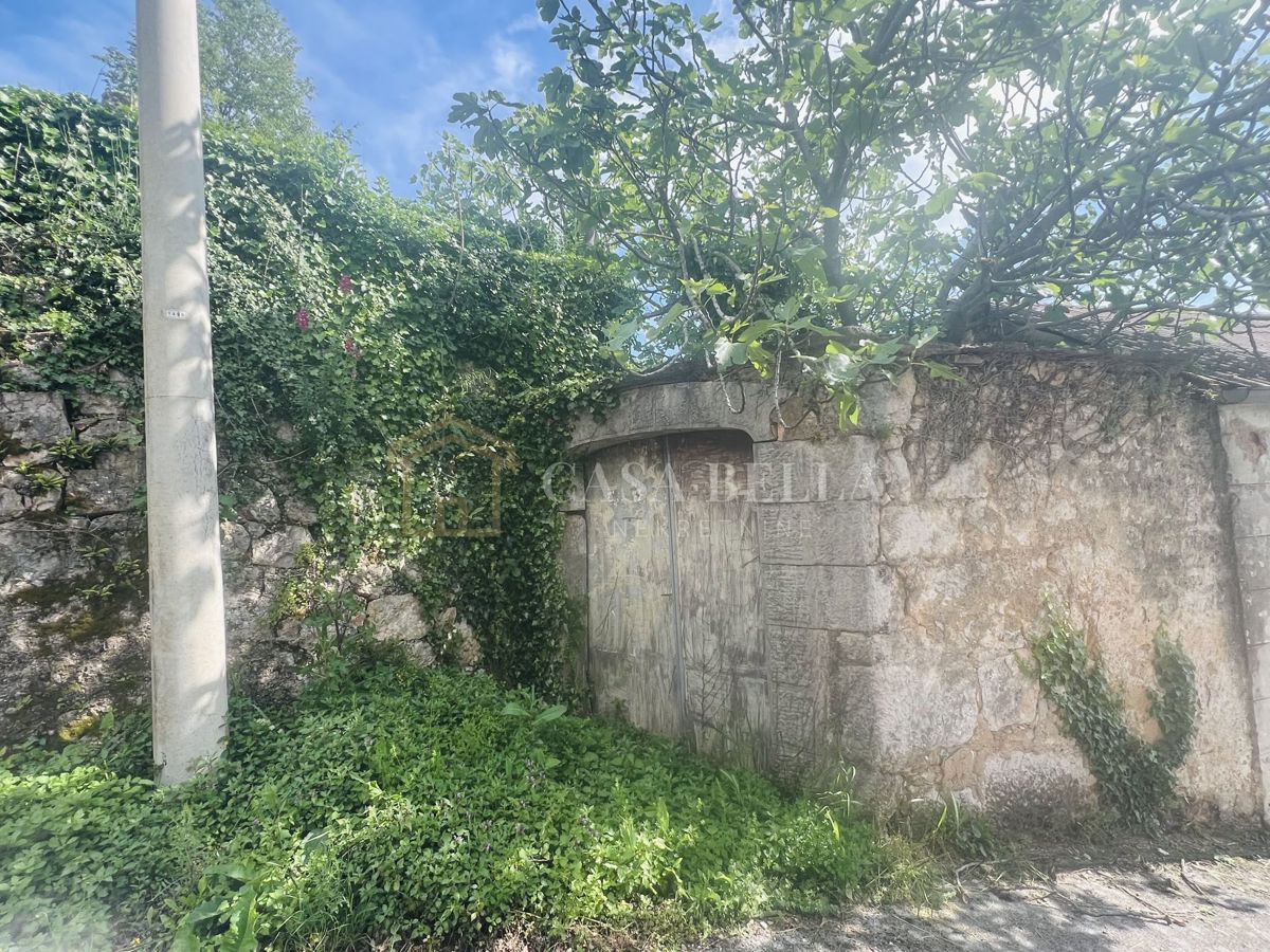 GRIŽANE
