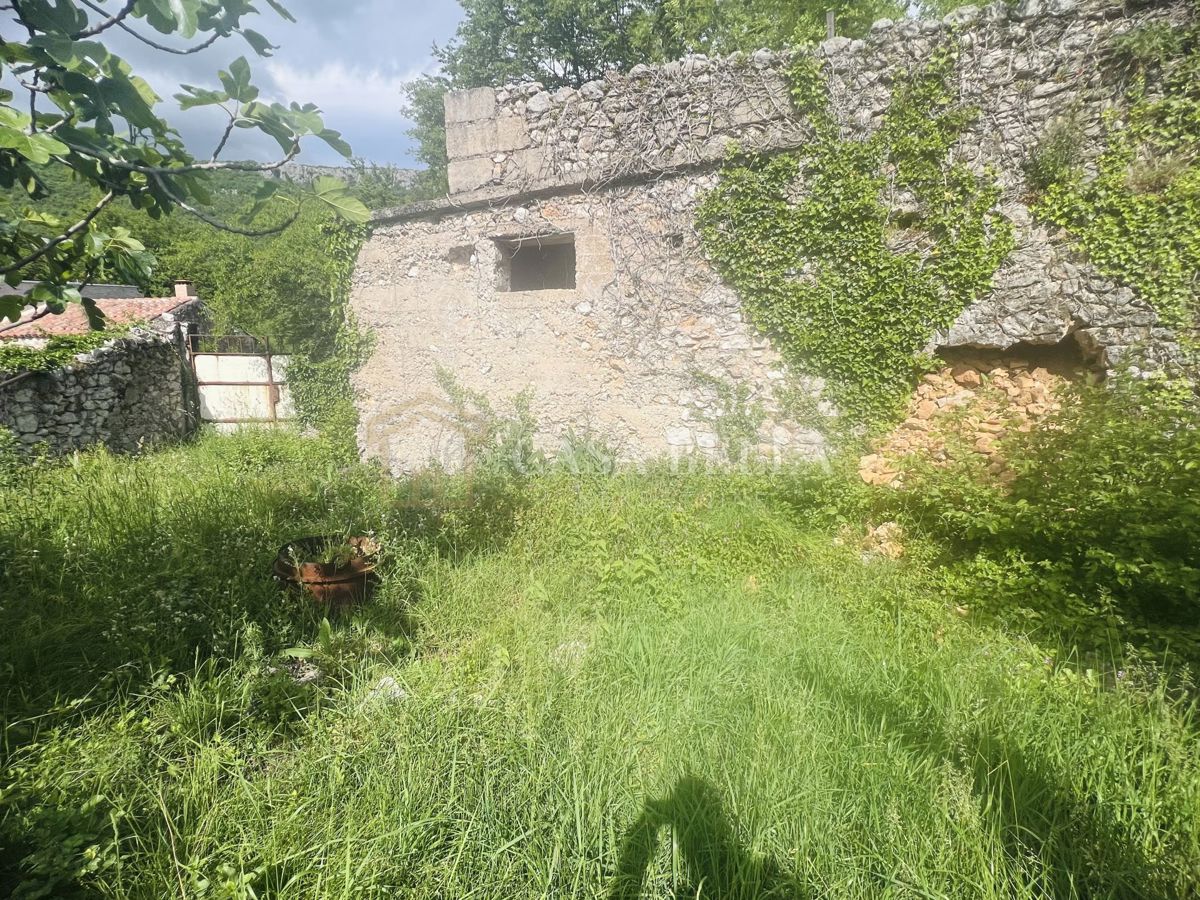 GRIŽANE