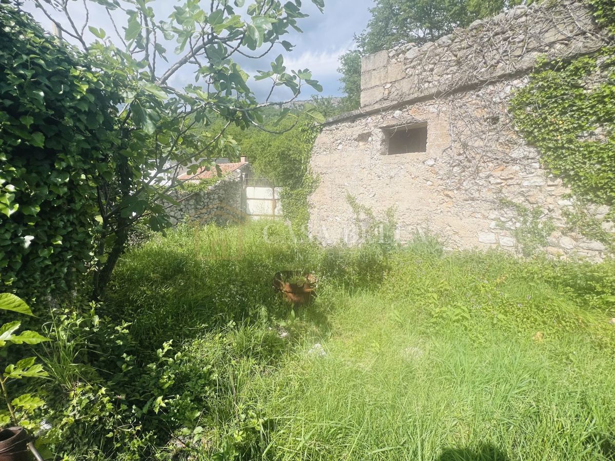 GRIŽANE