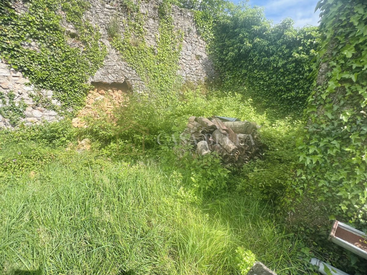 GRIŽANE