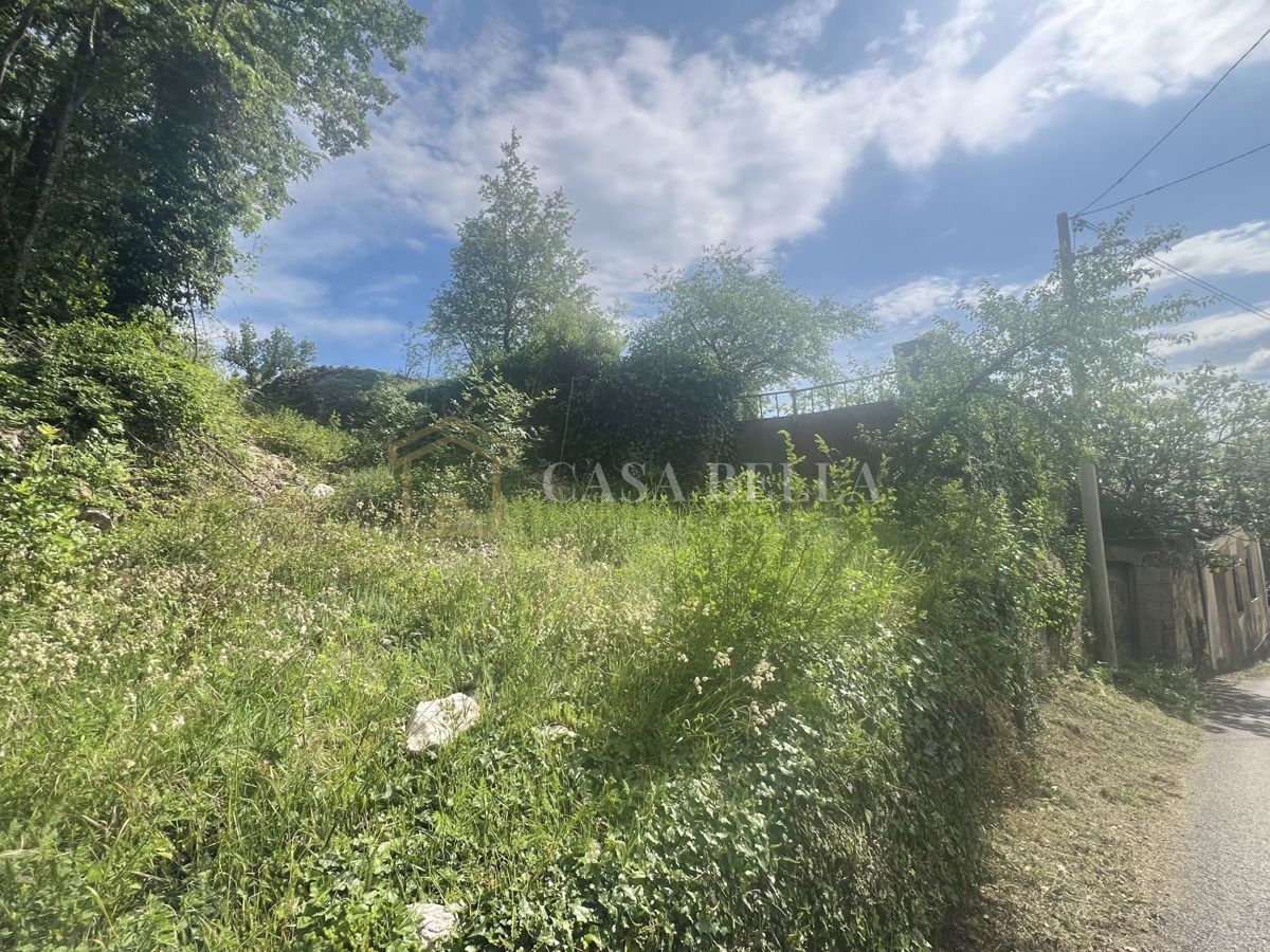 GRIŽANE