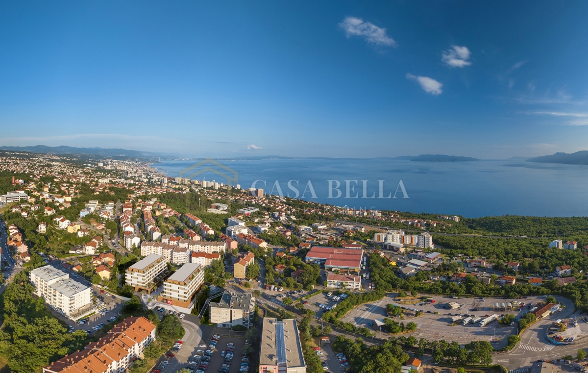 SRDOČI
