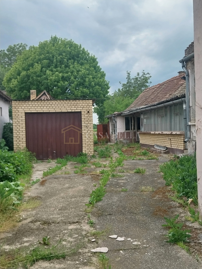 image 18