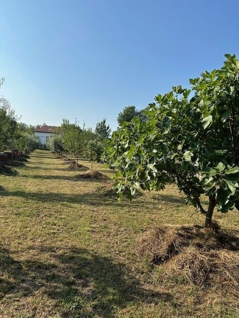 PORAT