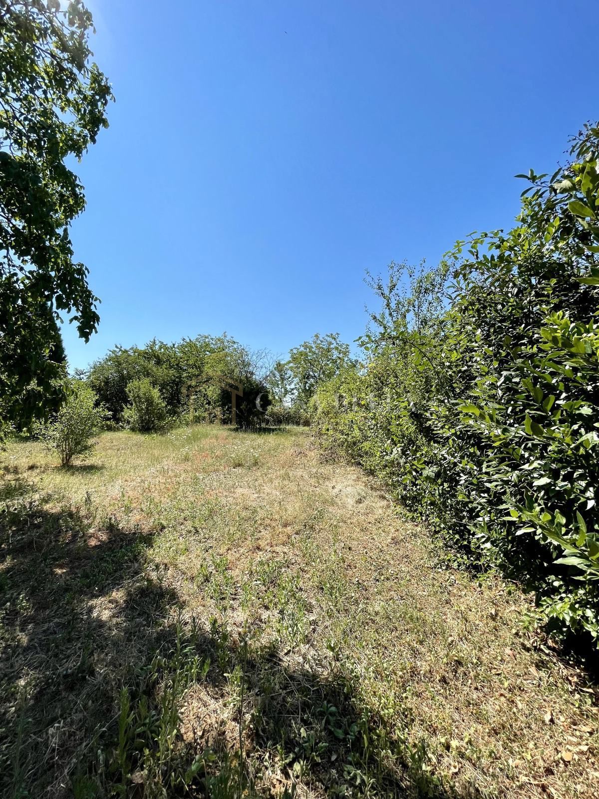 RUBEŠI