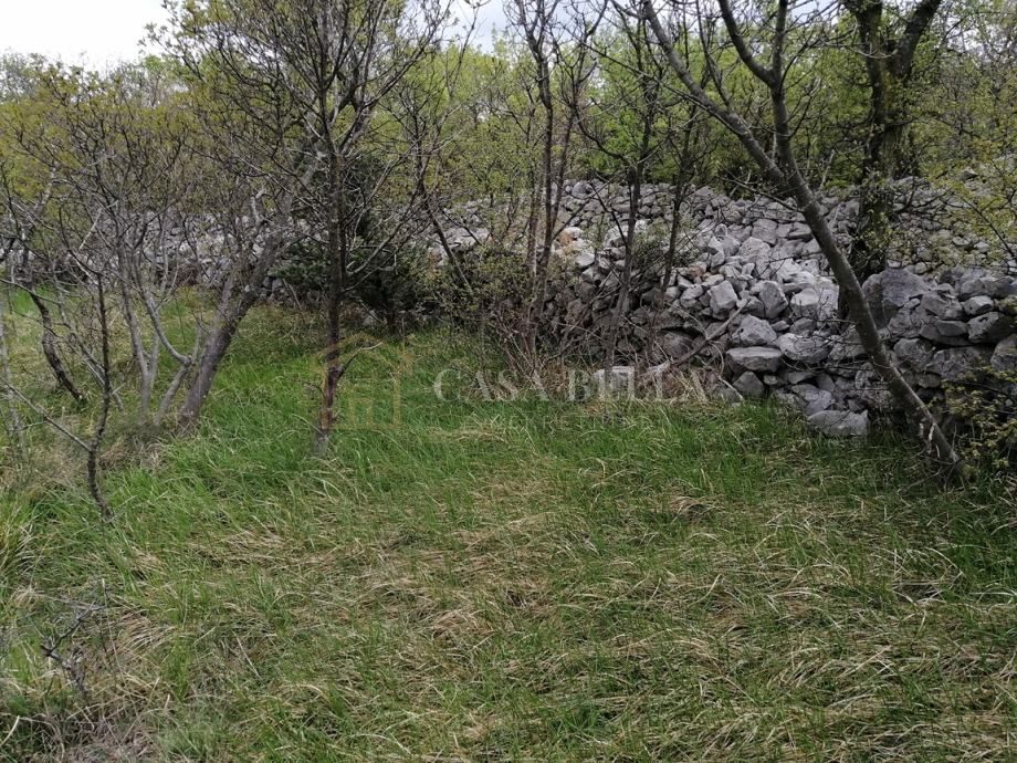 ŠMRIKA