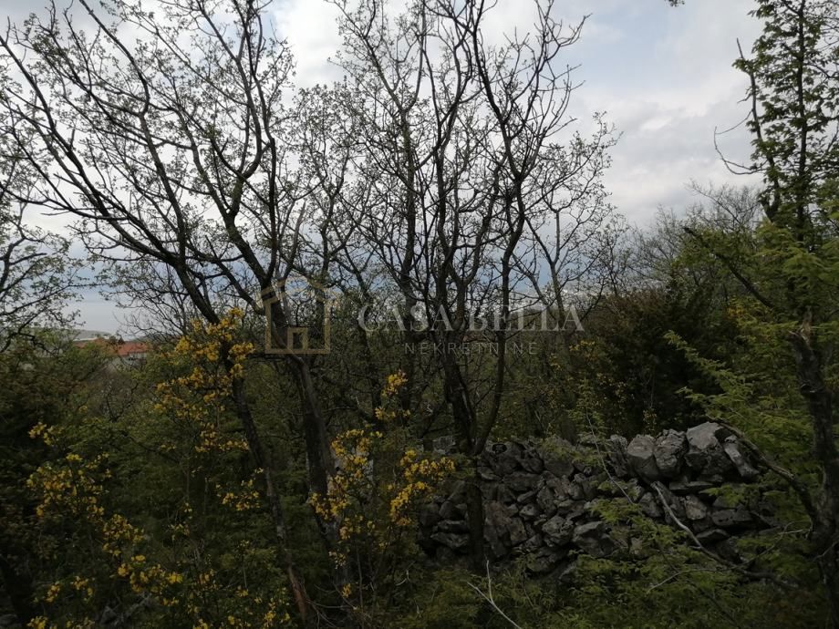 ŠMRIKA