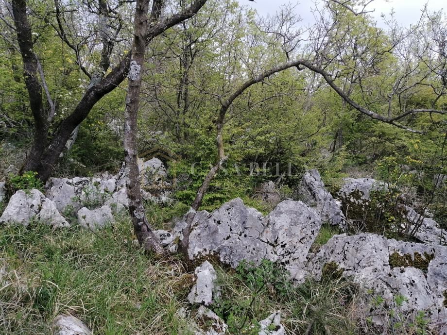 ŠMRIKA