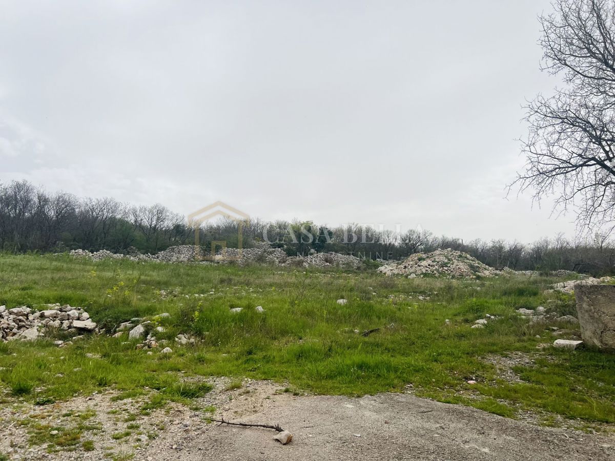 KLENOVICA