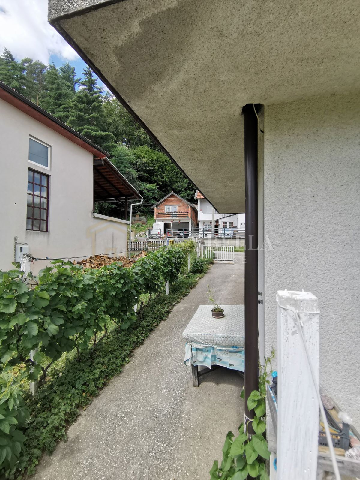 GORNJA PAČETINA