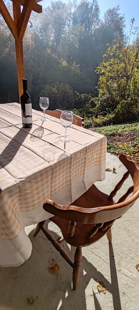 POLJANICA BISTRIČKA