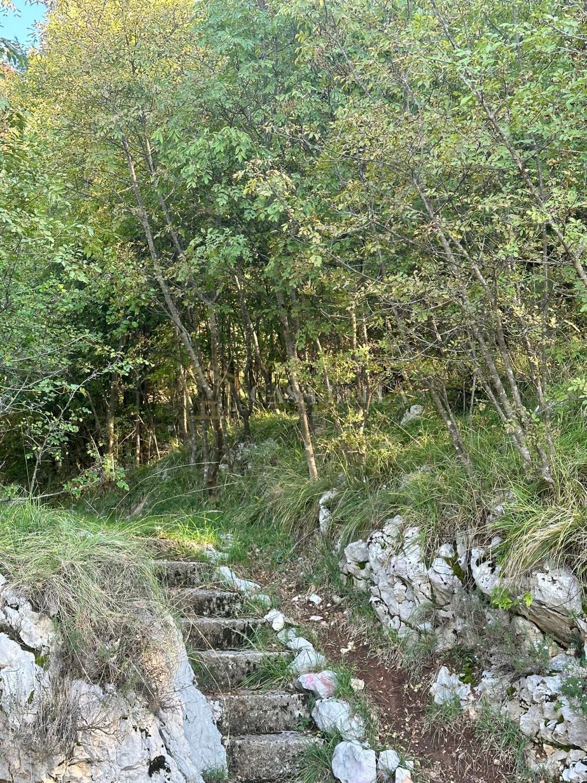 SVILNO