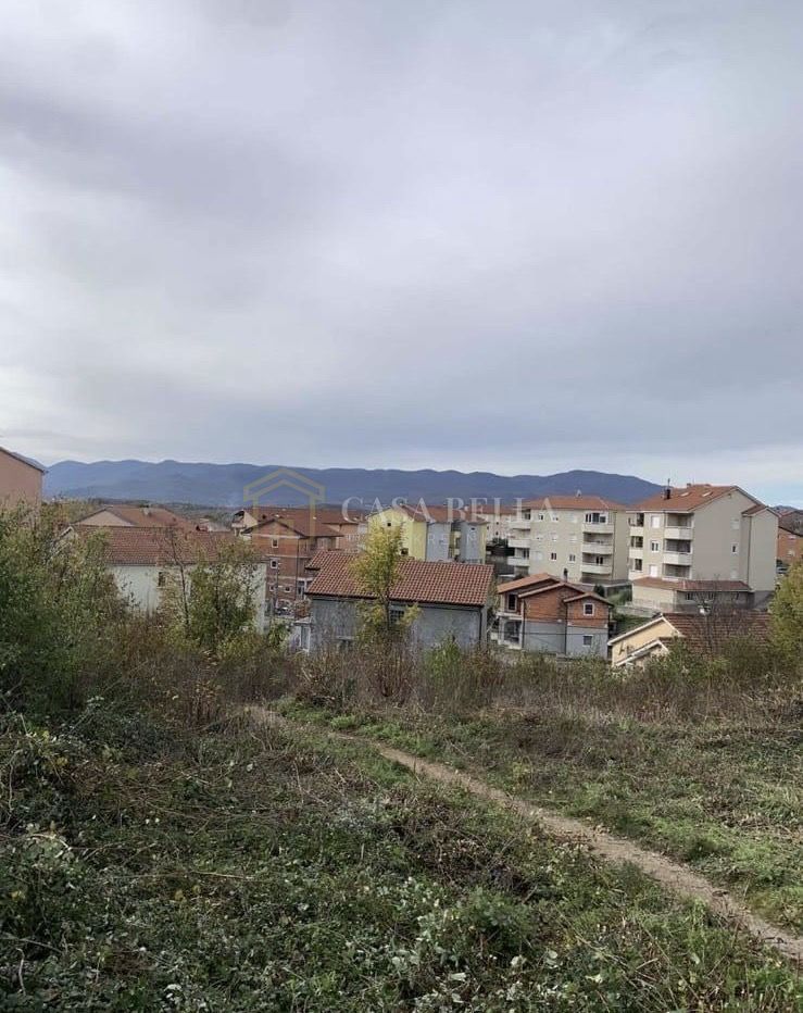 MARČELJI