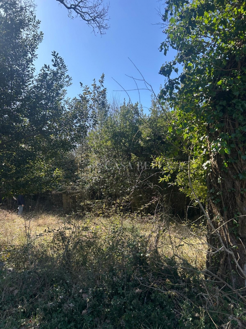 image 14