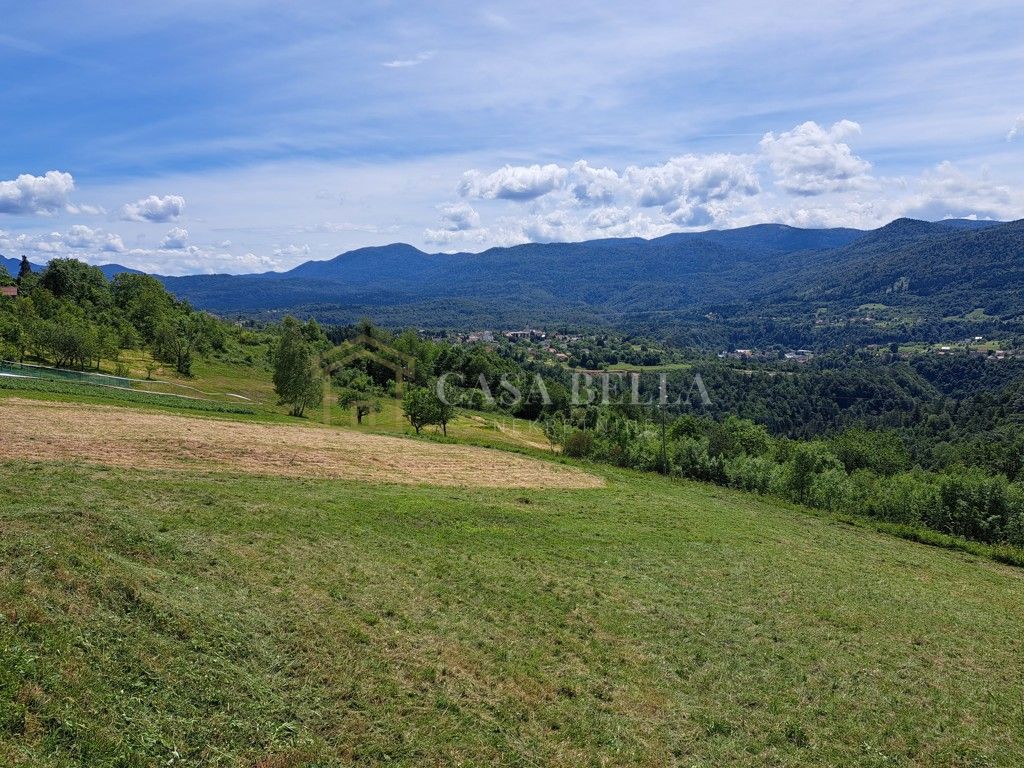 HAJDINE