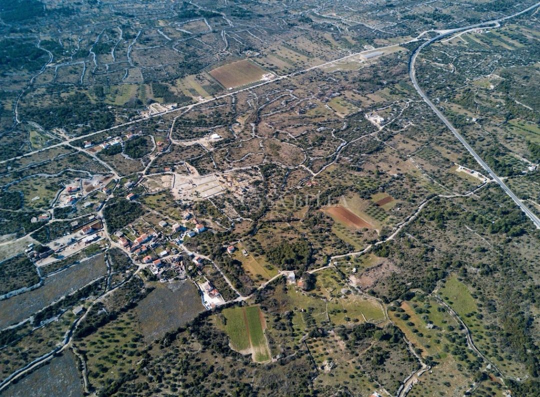 JADRIJA