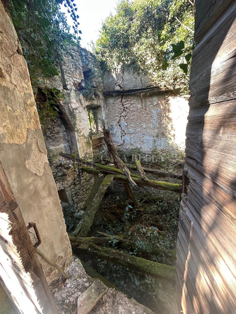 image 14