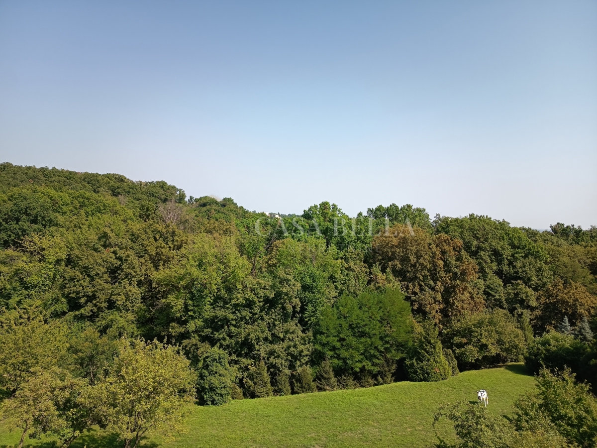 JELENOVAC