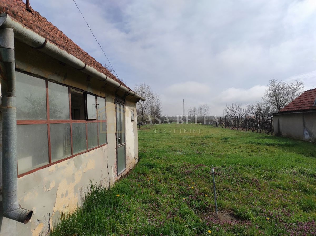 BISTRINCI