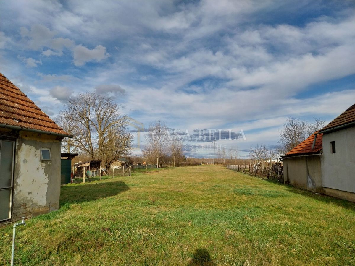 BISTRINCI