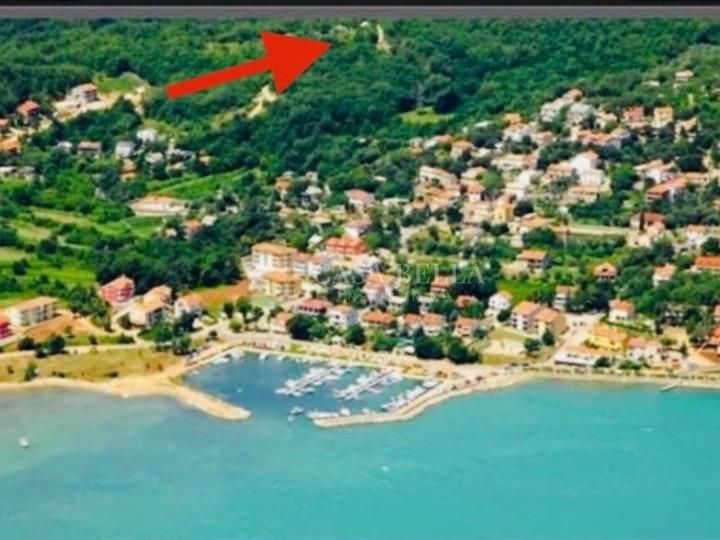 ČIŽIĆI