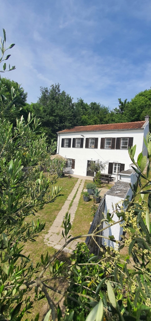 GRIŽANE