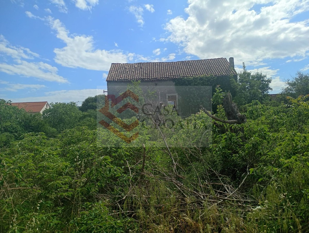 image 14