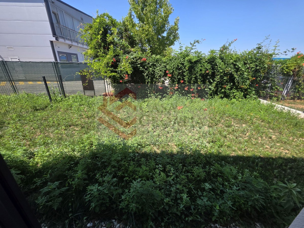 image 13