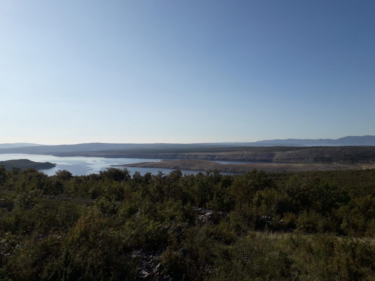 ŠMRIKA